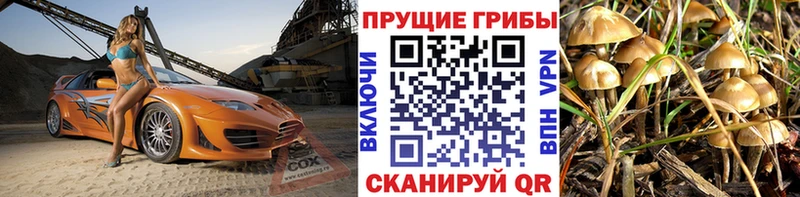 Галлюциногенные грибы прущие грибы Новоалтайск