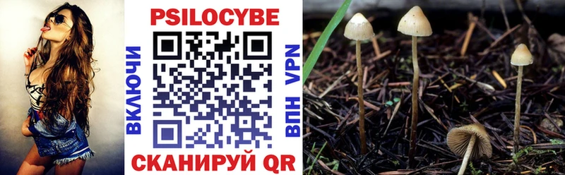 Псилоцибиновые грибы мухоморы  Новоалтайск 